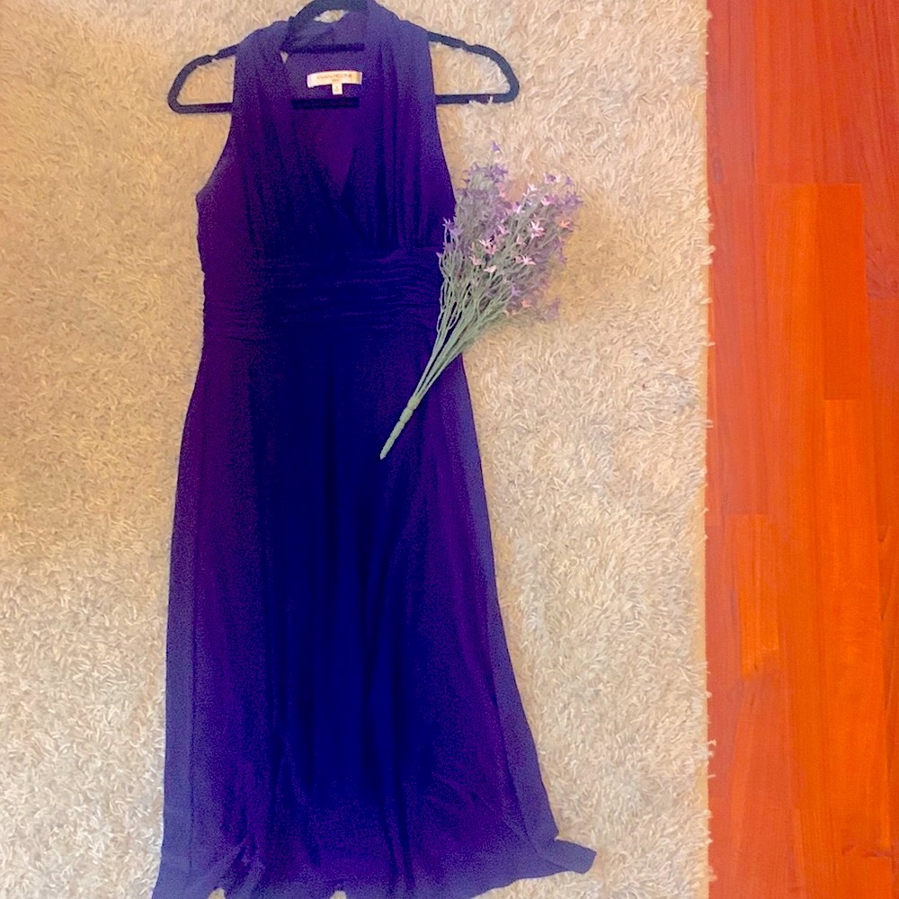 Evan-Picone Sleeveless, Ruched Waist, Cocktail Dress